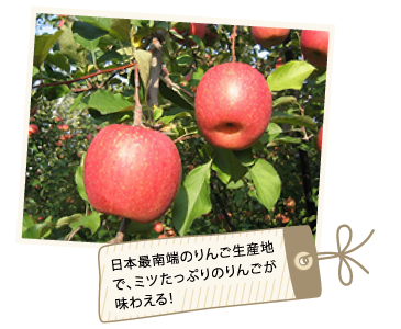 日本最南端のりんご生産地で、ミツたっぷりのりんごが味わえる！