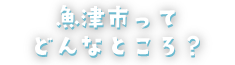 魚津市ってどんなところ？