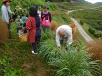 DSCN2786.JPG