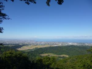 P1010510-0.jpg