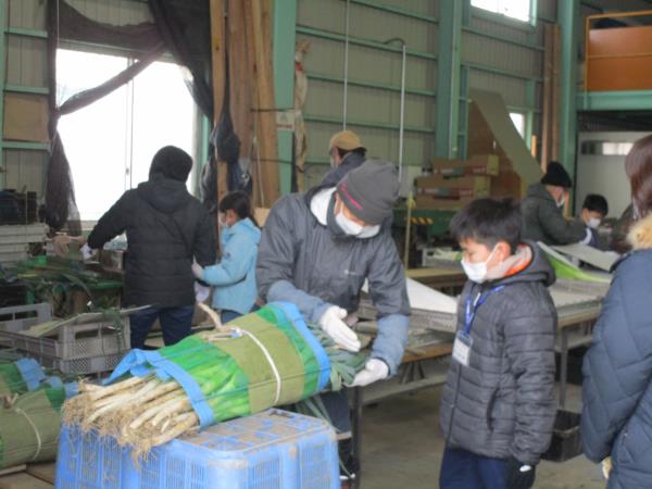 IMG_4198.JPG