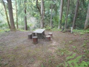 DSCN4895.JPG