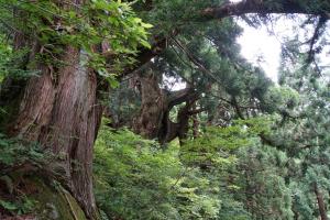 DSC06301-l.JPG