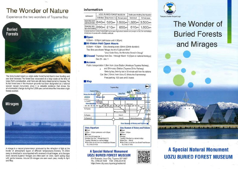 English Brochure