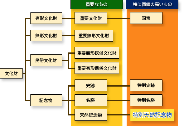 図1