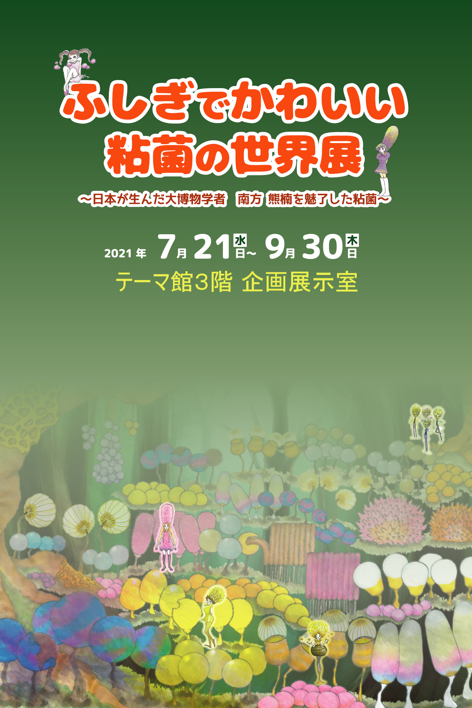 特別天然記念物 魚津埋没林博物館 埋没林と蜃気楼の博物館 学習会 講座の予定
